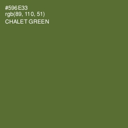 #596E33 - Chalet Green Color Image